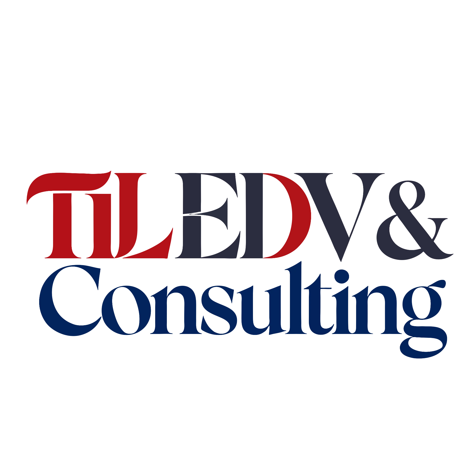 TIL EDV & Consulting GmbH